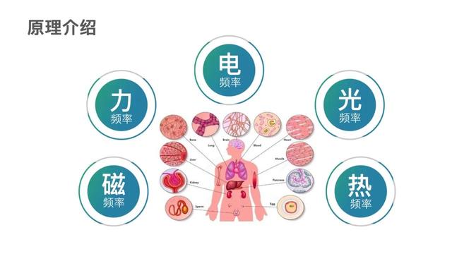 云健康全自动化营销系统合法吗，云健康全自动化系统是什么？