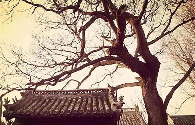奇闻异事素材库（奇闻异事素材下载）