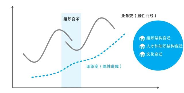 企业生命周期中最危险的阶段是青春期是否正确（企业生命周期中最危险的阶段是青春期判断）