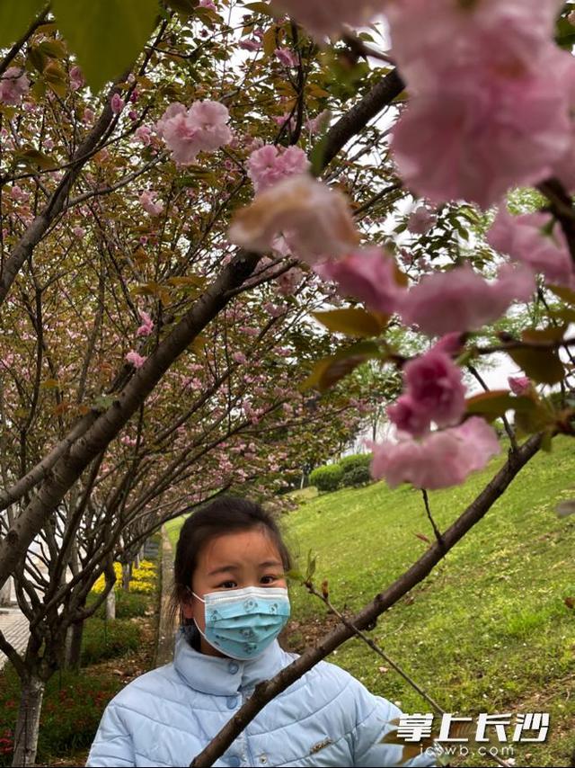 班级小管家如何添加家长，微信小程序班级小管家如何使用？