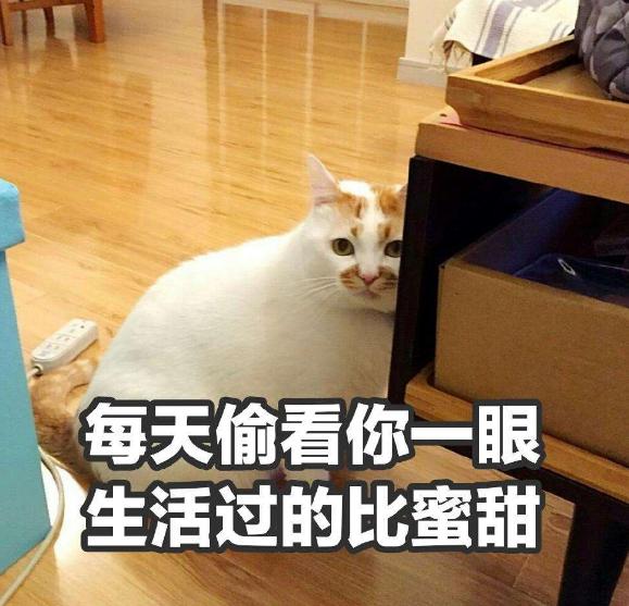 有趣的简介可以吸引粉丝宝妈，有趣的简介可以吸引粉丝宝妈吗？