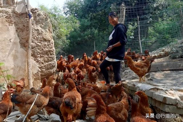 养植什么动物最赚钱呢知乎，养植什么动物最赚钱呢图片？