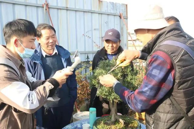 微信投票小程序怎么弄，微信投票小程序怎么弄限制投三项？