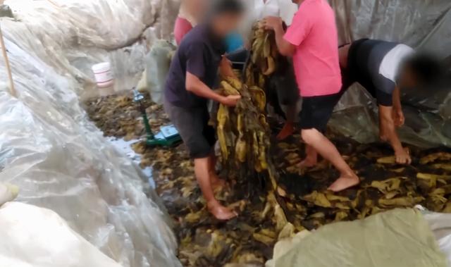 15晚会：网红直播很羞耻，老坛酸菜很恶心，一幕幕看着背后发凉"
