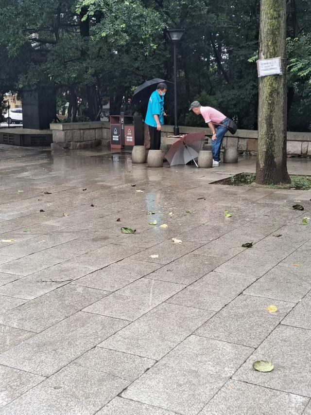 适合下雨天的朋友圈雨天唯美图片，下雨天的句子适合发朋友圈诗句？