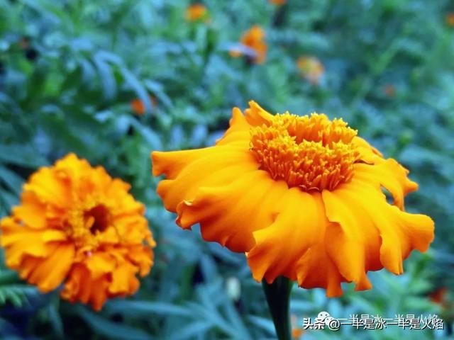 抖音轻飘飘的旧时光就这么溜走是什么歌，时光匆匆的歌词有哪些歌抖音歌曲？