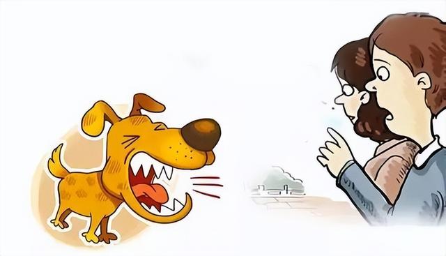 家养马犬的好处（养马犬好不好）