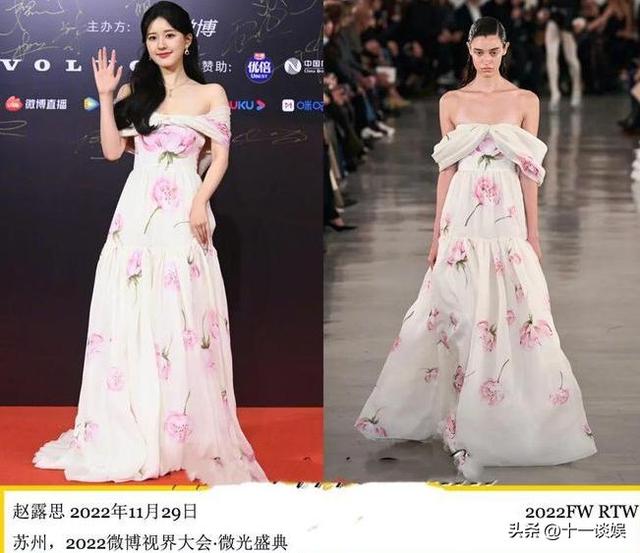 赵露思粉丝应援口号都有什么，赵露思粉丝名叫啥？