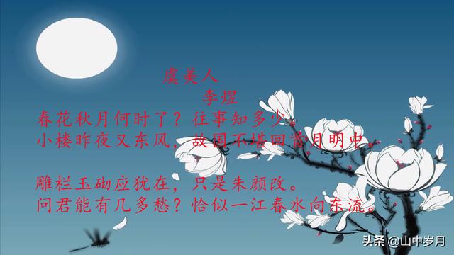 桃花的别称雅称有哪些（桃花的雅称是什么）