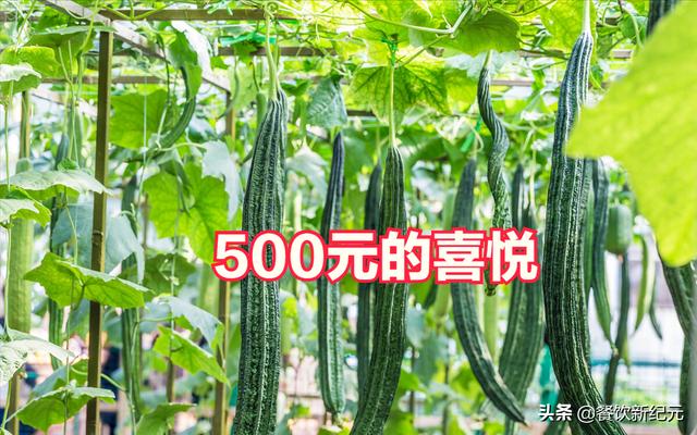 000万怎么创业，500块钱能创业吗？"