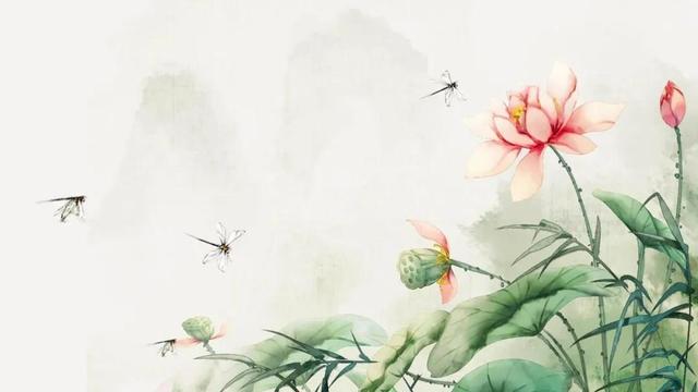 抖音自我介绍怎么写吸引人有趣，抖音自我介绍怎么写吸引人美食？