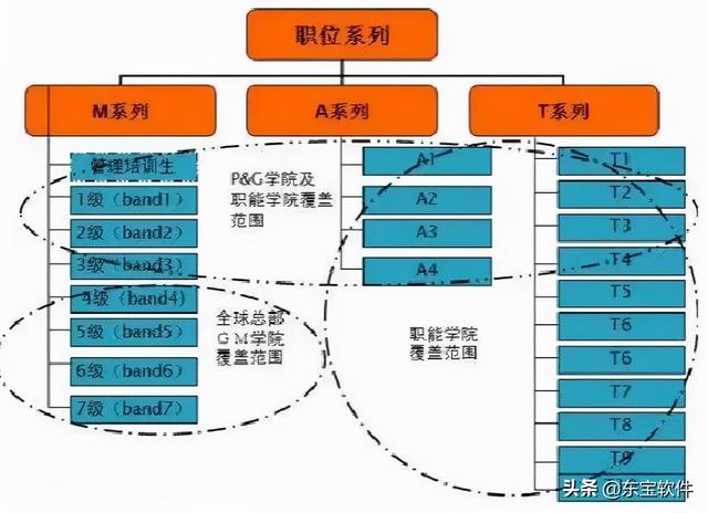 宝洁招聘（宝洁公司招聘岗位有哪些）