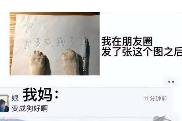 朋友圈屏蔽显示什么横线和点吗，朋友圈屏蔽显示什么图标？