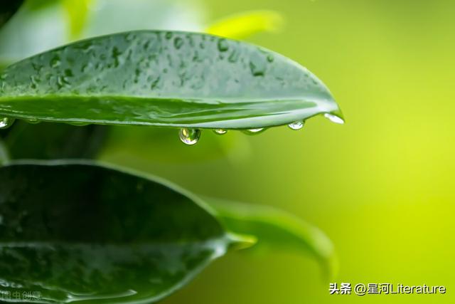 倾盆大雨的说说发朋友圈图片，倾盆大雨的说说发朋友圈图片大全？