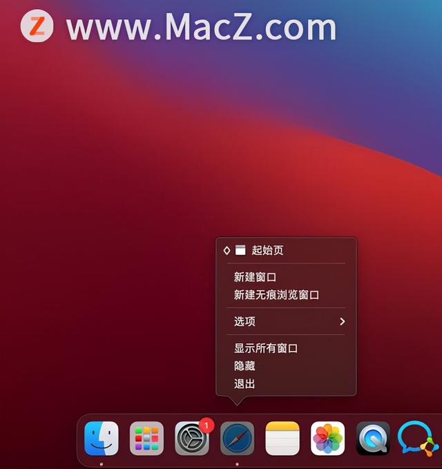 iwatch程序坞是什么意思（苹果程序坞是什么意思）