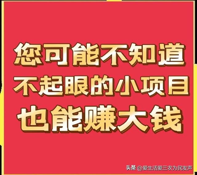 在农村乡镇做什么能赚到钱呢（农村乡镇干什么能赚钱）