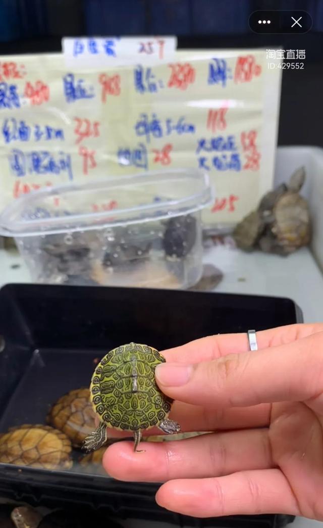 淘宝商户专享额度是什么，淘宝商户专享额度怎么用？