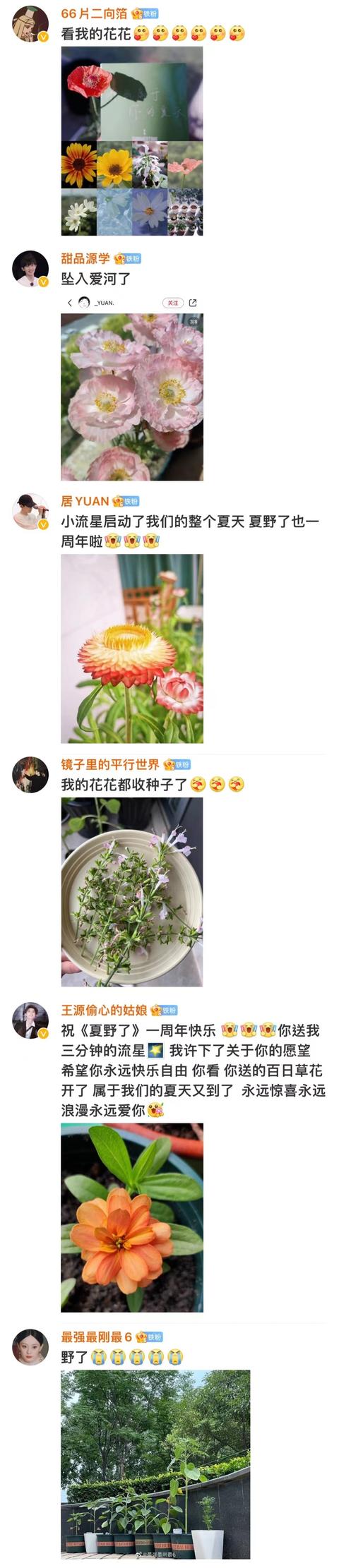 王源的粉丝名应该叫什么，王源粉丝名称？