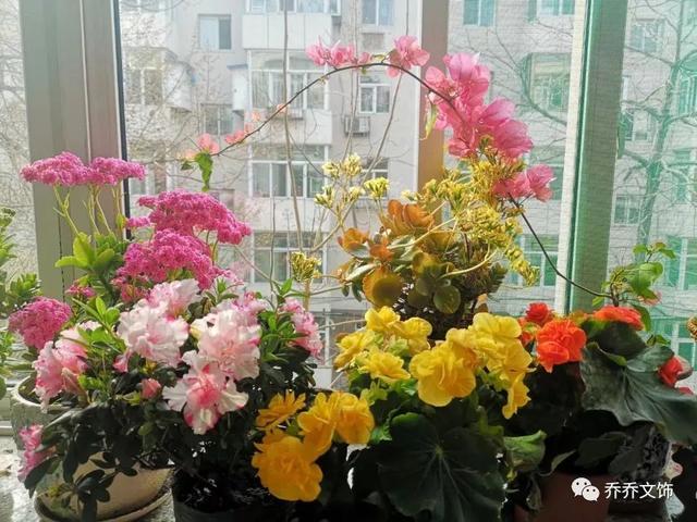 种花发朋友圈短句，花的图片发朋友圈说说？