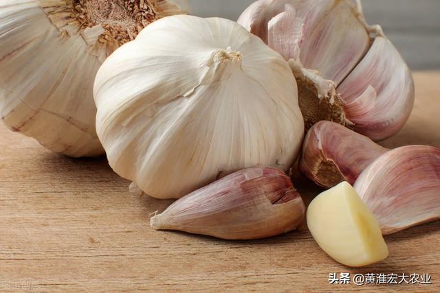 现在大蒜的价格是多少钱一斤（现在大蒜多少钱一斤市场价）