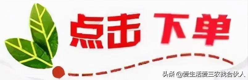 穷人创业项目能赚100万，穷人创业项目有哪些？