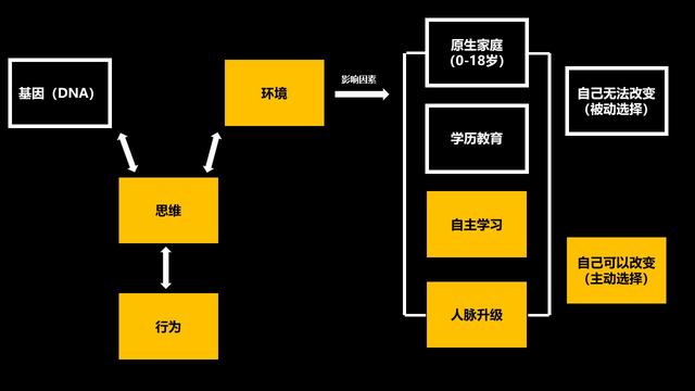 轻创业有哪些项目组成，轻创业有哪些项目可以选择？