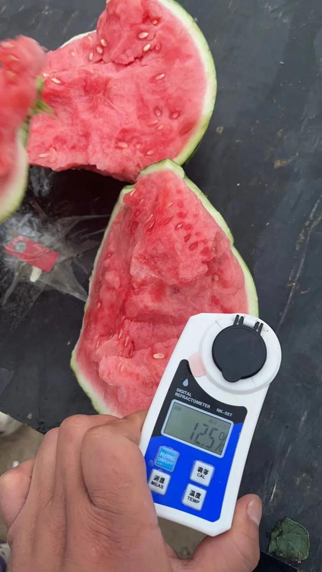 一个人单干暴利项目加微信，一个人单干暴利项目一个人怎么做销售？