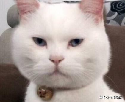 斗鱼主播封门村（哪个主播去封门村直播）