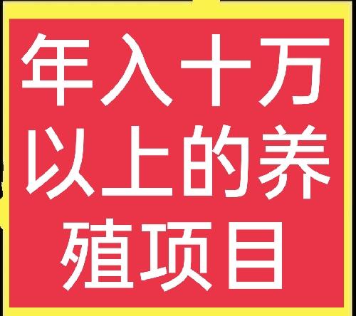 创业养殖业，创业养殖致富项目有哪些？