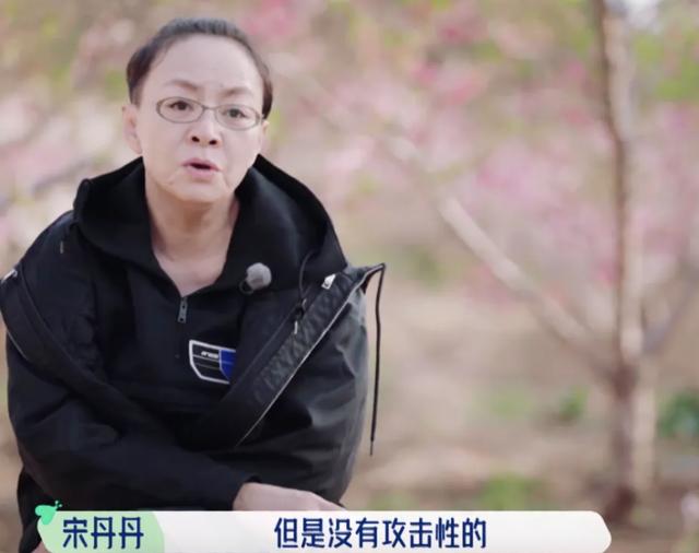 黑红流量爱上种田后免费阅读，黑红流量爱上种田后免费阅读ax61？