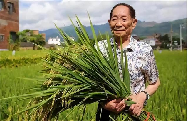 袁婆搞笑视频合集（袁婆搞笑视频蹭饭）