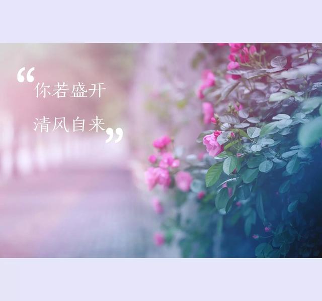 与客户发生的小故事，销售客户案例分享？