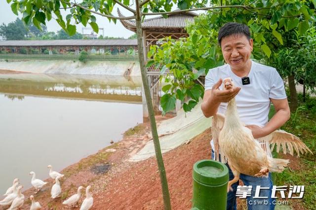 鹅直播小程序怎么在电脑上打开（鹅直播小程序怎么改头像和名字）