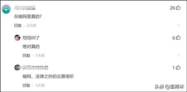 洋葱网络暗网下载（洋葱暗网手机版）