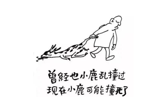 crush啥意思（CRUSH啥意思）