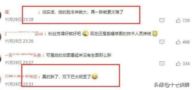 赵露思粉丝应援口号都有什么，赵露思粉丝名叫啥？
