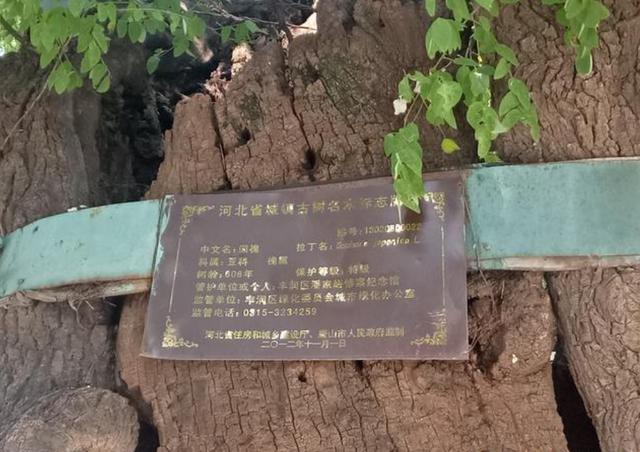 奇闻异事素材库（奇闻异事素材下载）