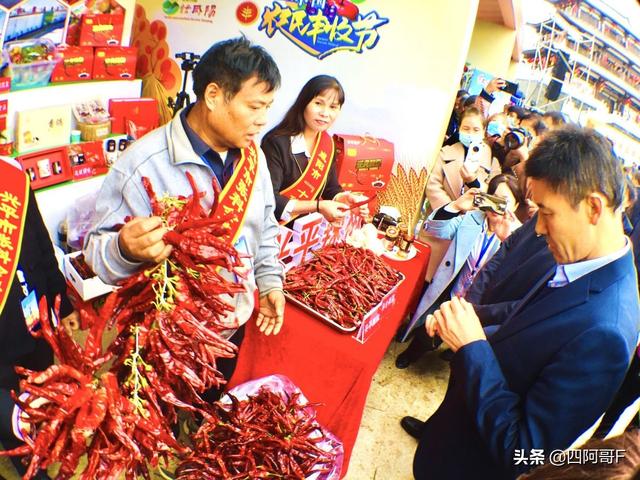 现在做什么生意比较赚钱而且好上手不要文凭（现在做什么生意比较赚钱女生适合做什么生意）