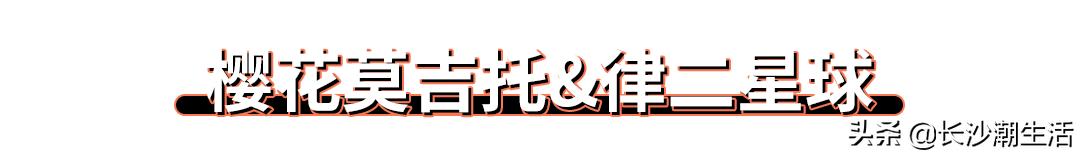表情包韩国女孩黄夏温，微信表情包,一个小女孩韩国的