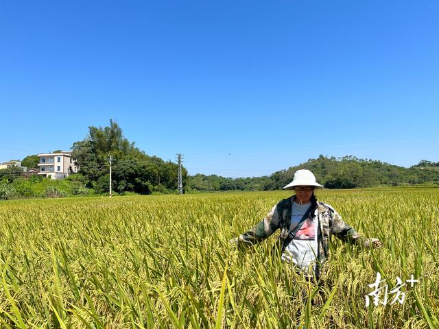 在农村养殖业养什么最赚钱，农村家里养殖什么赚钱？