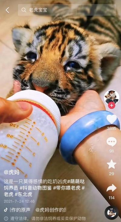 抖音介绍自己的个性签名短句，抖音介绍自己的个性签名励志？
