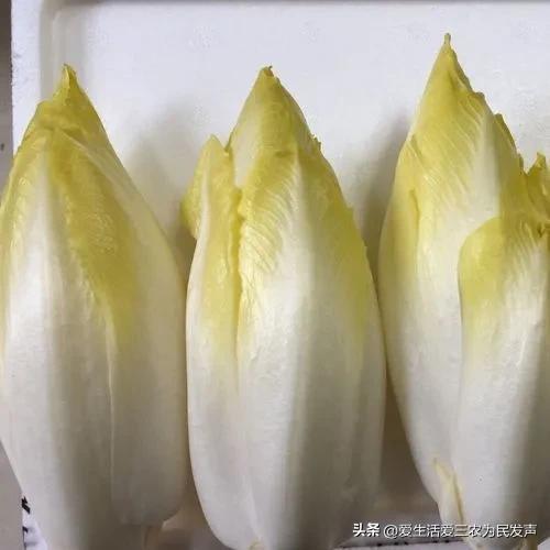 农村一个人干啥挣钱快呢（农村一个人做什么挣钱）