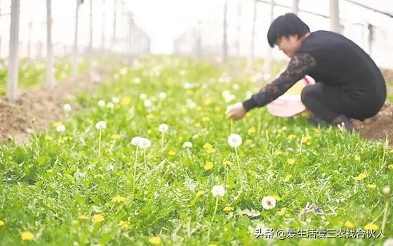 穷人创业项目能赚100万，穷人创业项目有哪些？