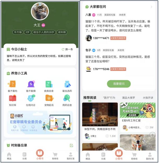 宠物店创业ppt模板免费，宠物店创业计划书市场营销计划？