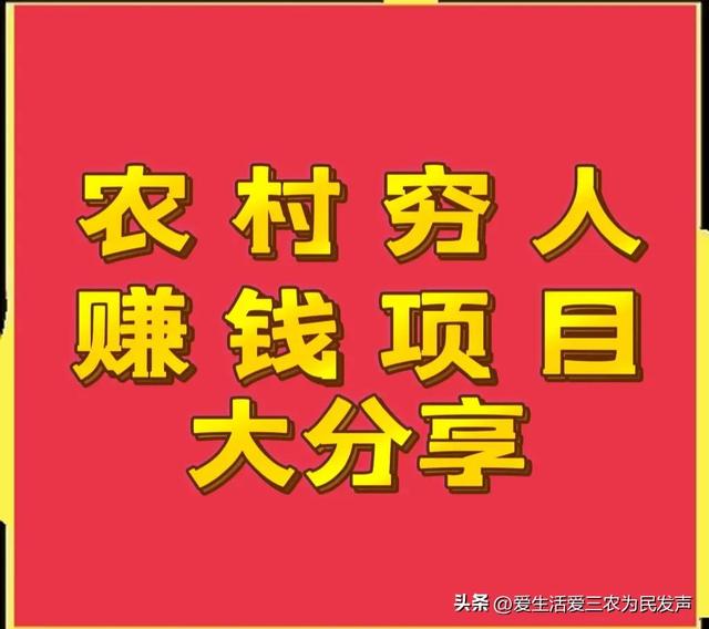 农村一个人干啥挣钱快呢（农村一个人做什么挣钱）