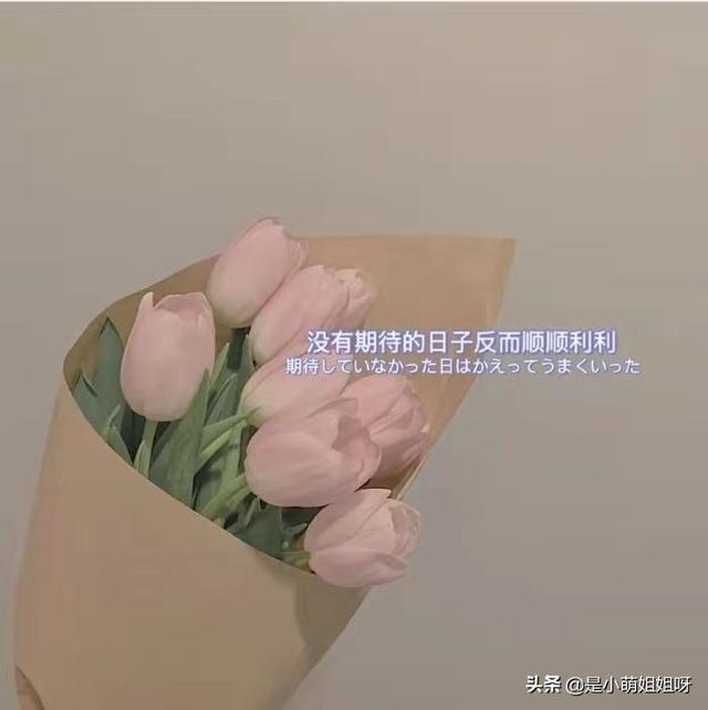 抖音什么类型作品最涨粉（抖音一个作品一直在涨粉这时候应不应该发作品）