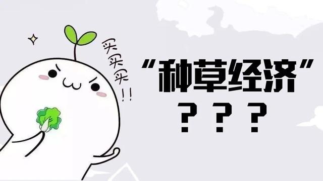 小红书跟抖音最大区别，小红书比抖音高大上吗？