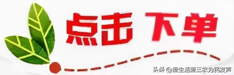 农村一个人干啥挣钱快呢（农村一个人做什么挣钱）