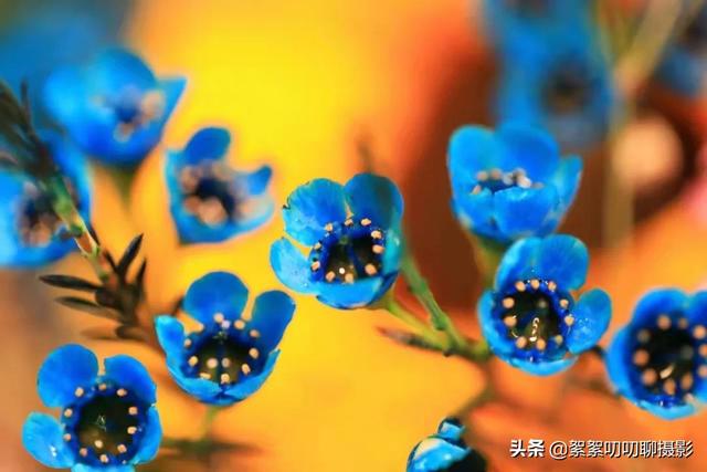 景深三要素对景深的影响分别是什么（景深三要素与景深大小的关系）