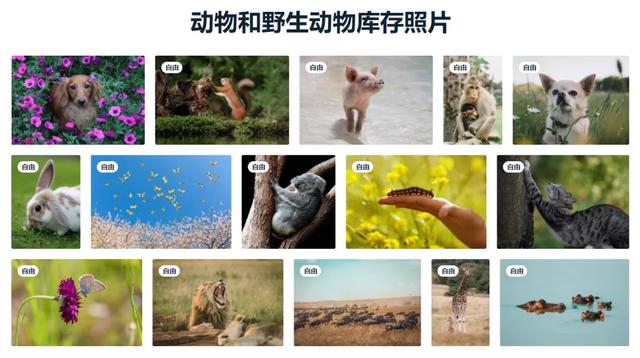 pixabay官网免费素材免费下载，pixabay官网免费_素材